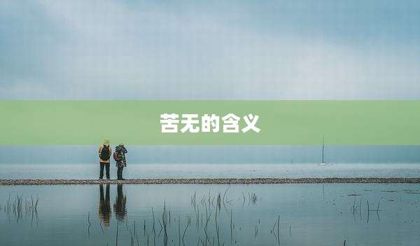 苦无的含义
