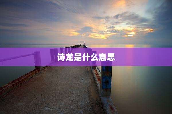 诗龙是什么意思