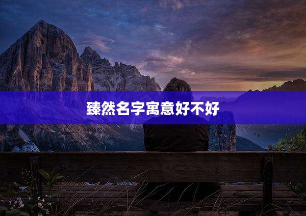 臻然名字寓意好不好