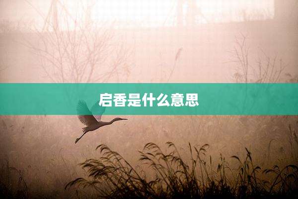 启香是什么意思