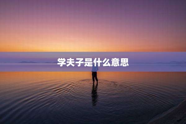 学夫子是什么意思