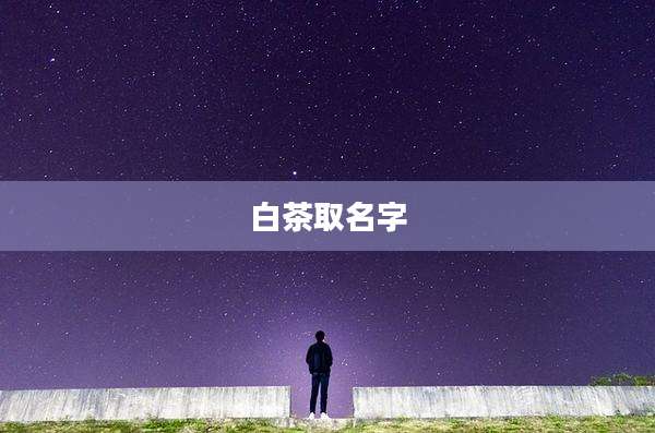白茶取名字