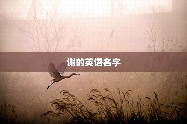 谢的英语名字