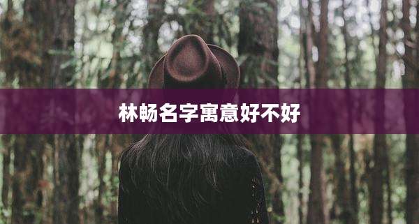 林畅名字寓意好不好