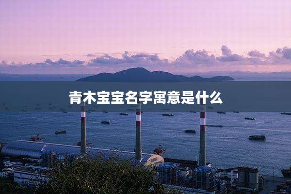 青木宝宝名字寓意是什么