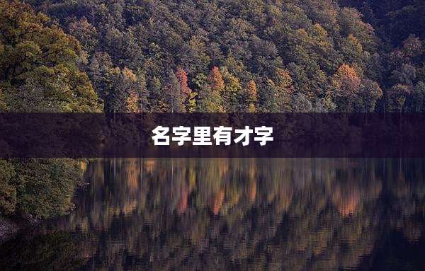 名字里有才字