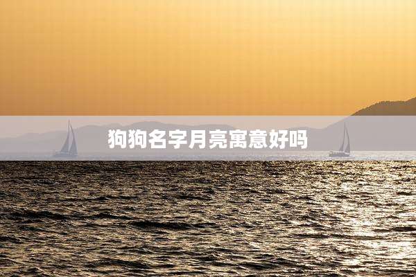 狗狗名字月亮寓意好吗