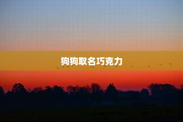 狗狗取名巧克力