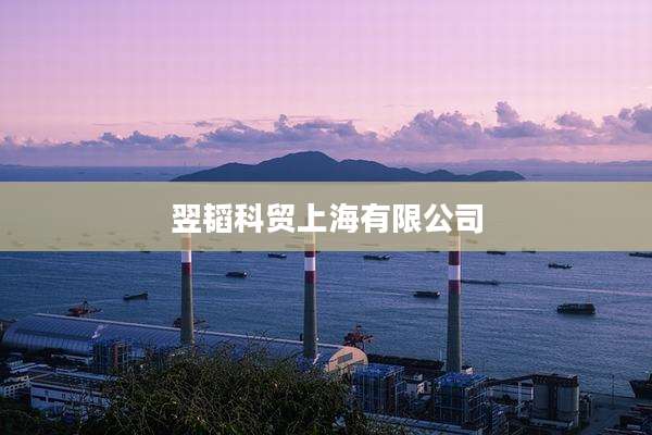 翌韬科贸上海有限公司