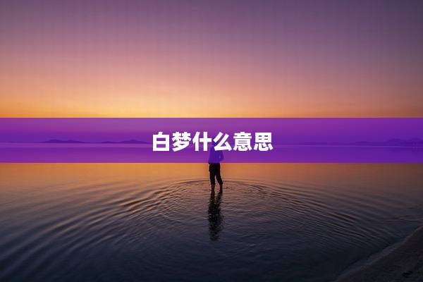 白梦什么意思