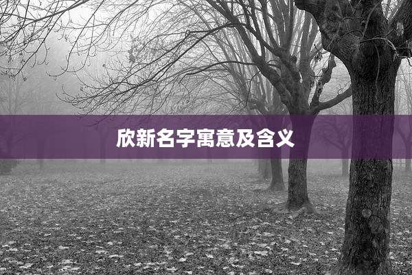 欣新名字寓意及含义