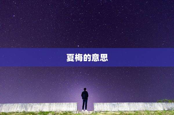 夏梅的意思