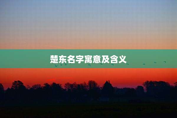 楚东名字寓意及含义