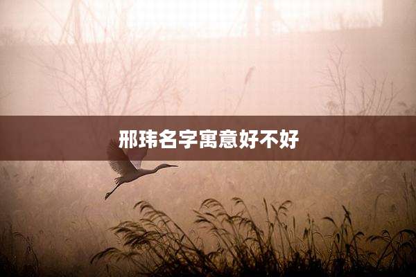 邢玮名字寓意好不好