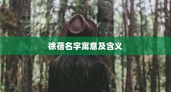 徐蓓名字寓意及含义