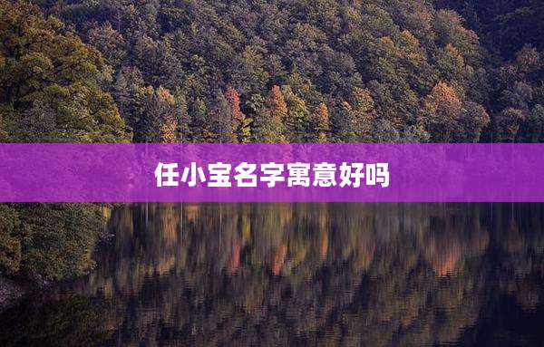 任小宝名字寓意好吗