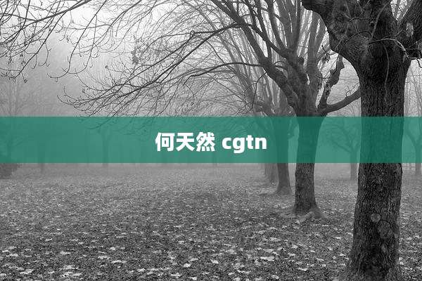 何天然 cgtn