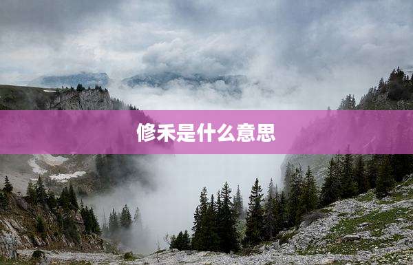 修禾是什么意思
