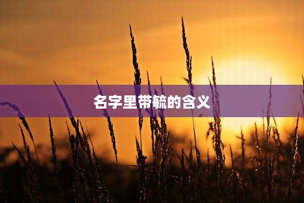 名字里带毓的含义