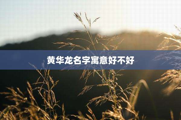 黄华龙名字寓意好不好