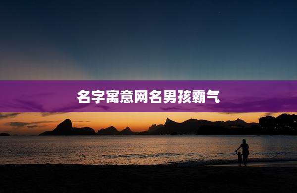 名字寓意网名男孩霸气