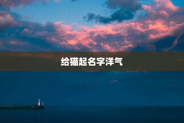 给猫起名字洋气