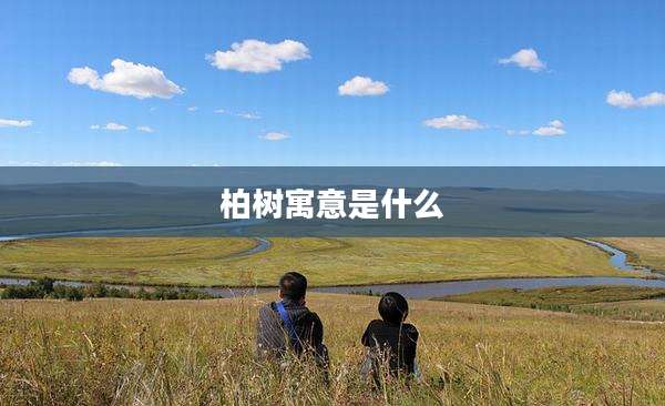 柏树寓意是什么