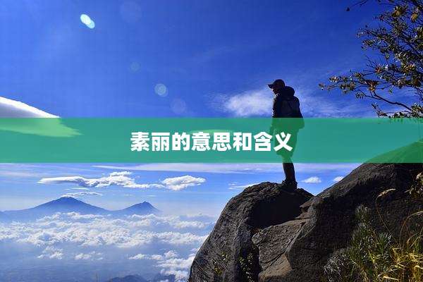 素丽的意思和含义