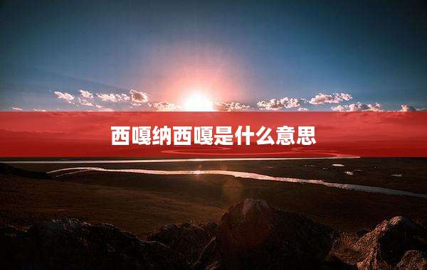 西嘎纳西嘎是什么意思