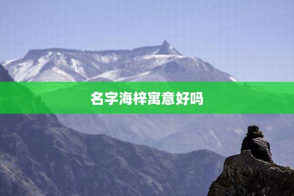 名字海梓寓意好吗