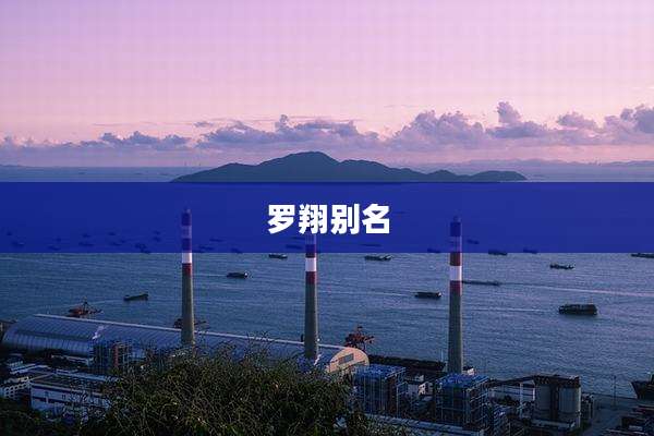 罗翔别名