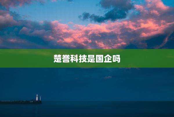 楚誉科技是国企吗