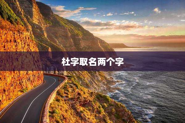杜字取名两个字