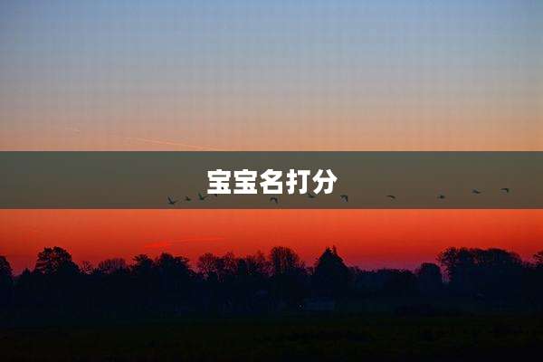 宝宝名打分