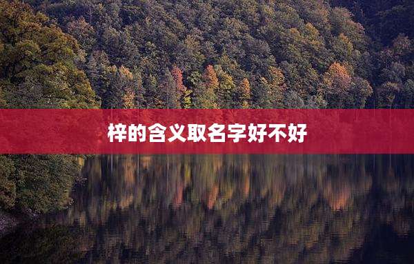 梓的含义取名字好不好