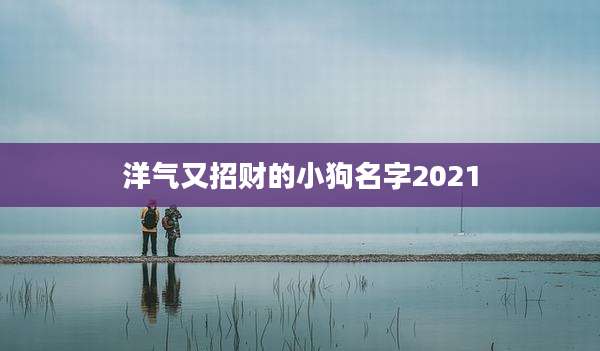 洋气又招财的小狗名字2021