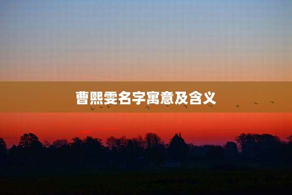 曹熙雯名字寓意及含义