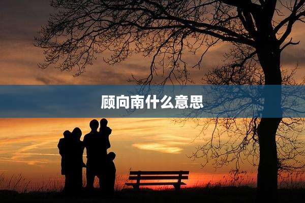 顾向南什么意思