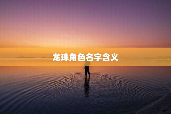 龙珠角色名字含义