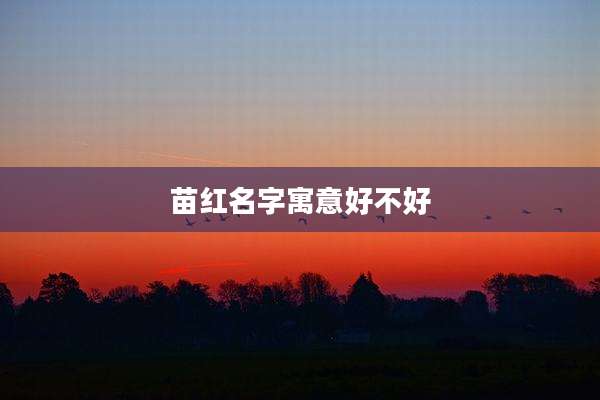 苗红名字寓意好不好