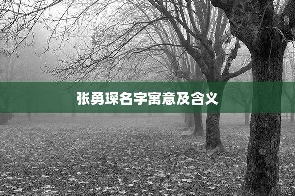 张勇琛名字寓意及含义