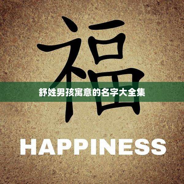 舒姓男孩寓意的名字大全集