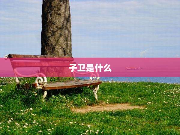 子卫是什么