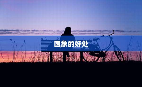 国象的好处