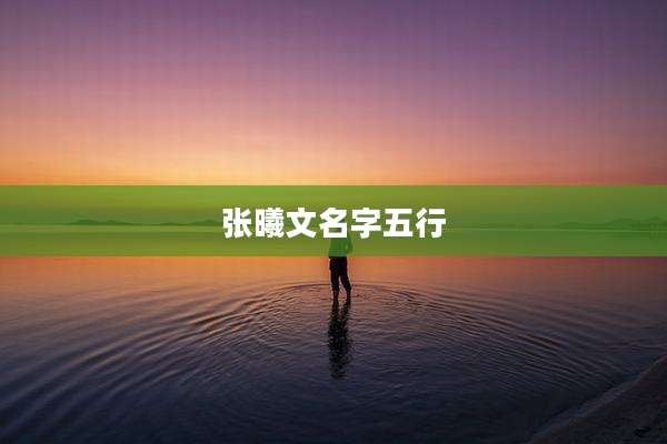 张曦文名字五行