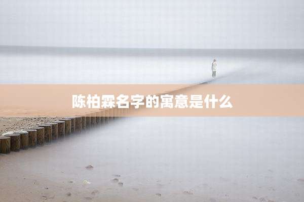 陈柏霖名字的寓意是什么