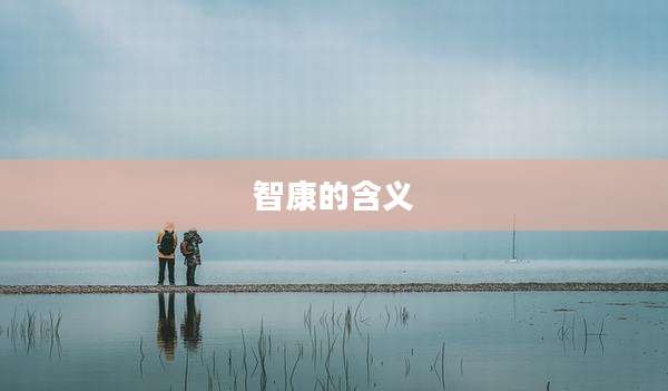 智康的含义