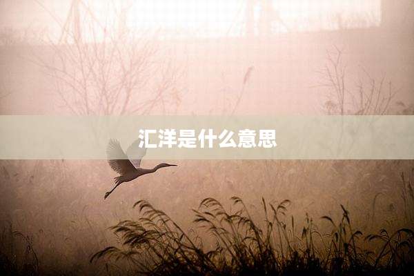 汇洋是什么意思