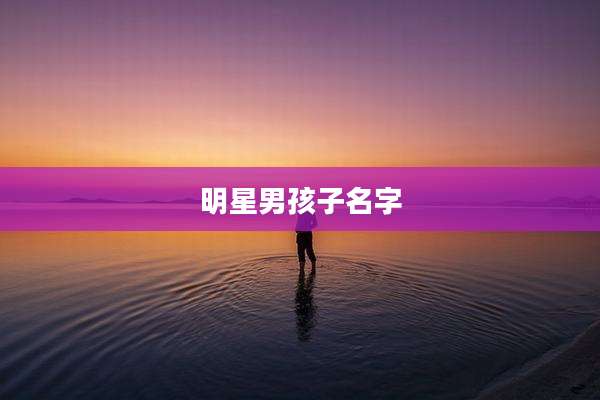 明星男孩子名字