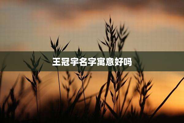 王冠宇名字寓意好吗